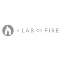 A Lab On Fire mostra
