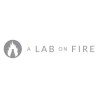 A Lab On Fire