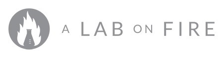 A Lab On Fire